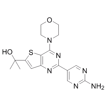 GNE-493