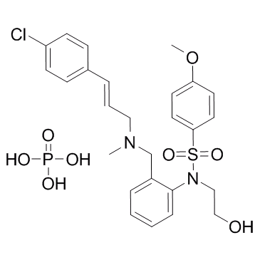 KN-93 (phosphate)