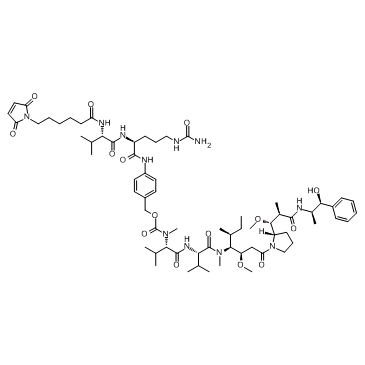 VcMMAE