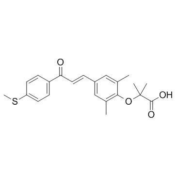 Elafibranor