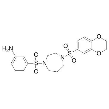 DASA-58