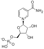 β-煙酰胺單核苷酸