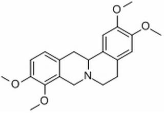 羅通定