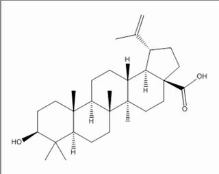 白樺脂酸