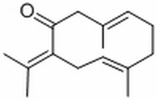 吉馬酮