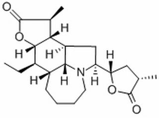 對葉百部堿