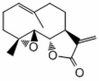 小白菊內(nèi)酯