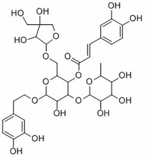 連翹酯苷B