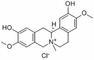 鹽酸黃柏堿