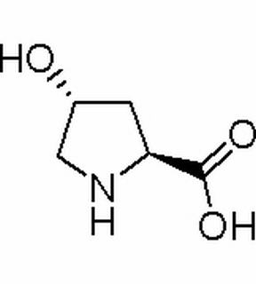 L-羥脯氨酸