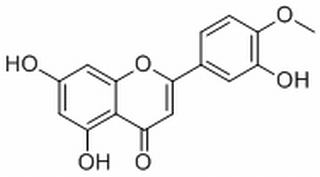 香葉木素