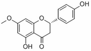 櫻花亭