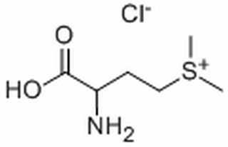 維生素U