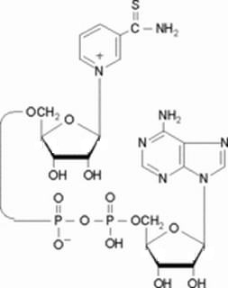 硫代氧化型輔酶I