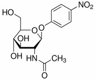 對硝基苯-N-乙酰-β-D-氨基葡萄糖苷