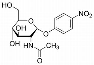 對(duì)硝基苯-N-乙酰-α-D-氨基葡萄糖苷