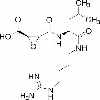 N-(反式-環(huán)氧丁二?；?-L-亮氨酸-4-胍基丁基酰胺