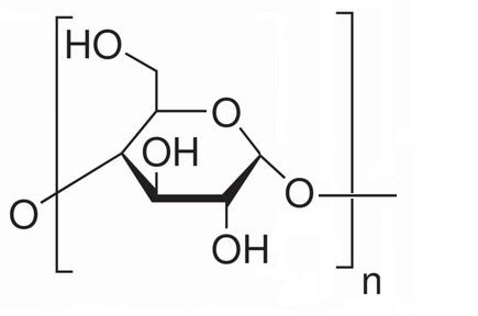 支鏈淀粉