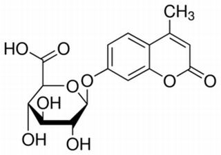 4-甲基傘形酮-D-葡萄糖醛酸苷