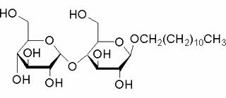 十二烷基-β-D-麥芽糖苷
