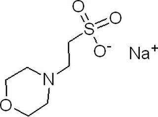 2-(N-嗎啡啉)乙磺酸鈉鹽