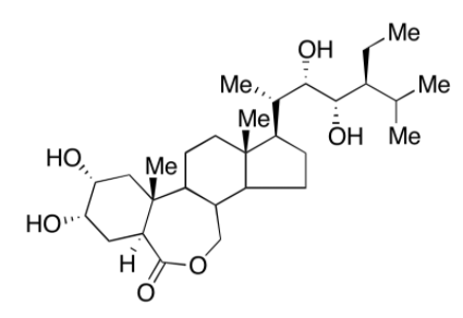 28-表高油菜素內(nèi)酯