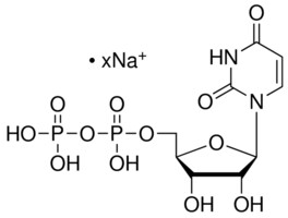 5-尿苷二磷酸鈉鹽