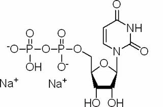 5-尿苷二磷酸二鈉鹽