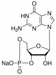 鳥苷-3'，5'-環(huán)磷酸鈉鹽