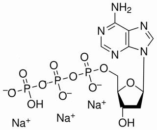 2′-脫氧腺苷-5′-三磷酸三鈉鹽