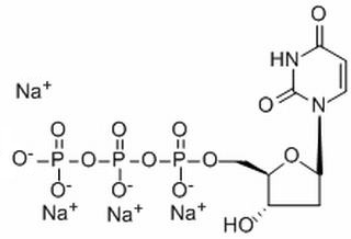 2′-脫氧尿苷-5′-三磷酸四鈉鹽
