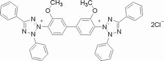 四氮唑藍(lán)