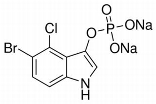 5-溴-4-氯-3-吲哚磷酸二鈉鹽