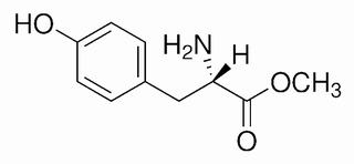 L-酪氨酸甲酯