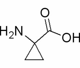 1-氨基環(huán)丙烷羧酸