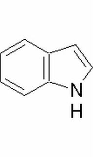 吲哚