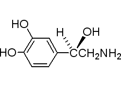 L-去甲腎上腺素