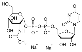 尿苷-5′-二磷酸-N-乙酰基-葡糖胺鈉鹽