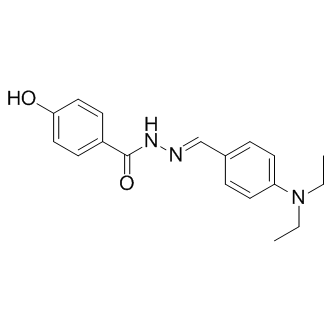 DY131