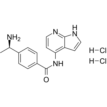 Y-39983 HCl