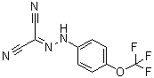 FCCP