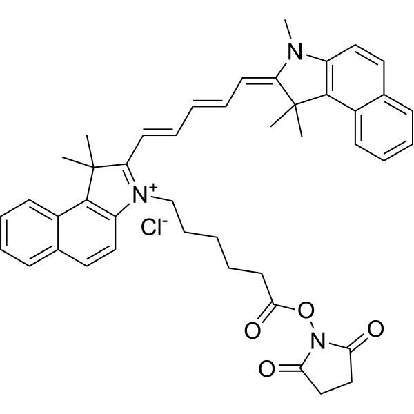 Cy5.5 N-羥基琥珀酰亞胺酯