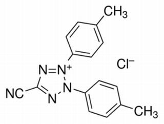 5-氰基-2，3-二-（P-芐基-四唑氯化物）