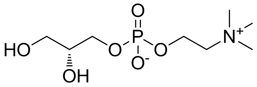 甘油磷酸膽堿