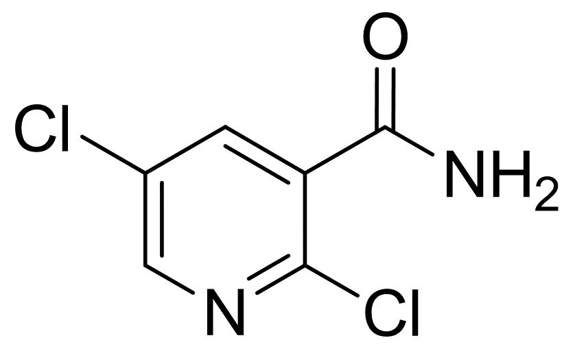 2,5-二氯煙酰胺